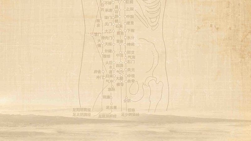 全国养生保健公司排名，揭秘行业背后的真相