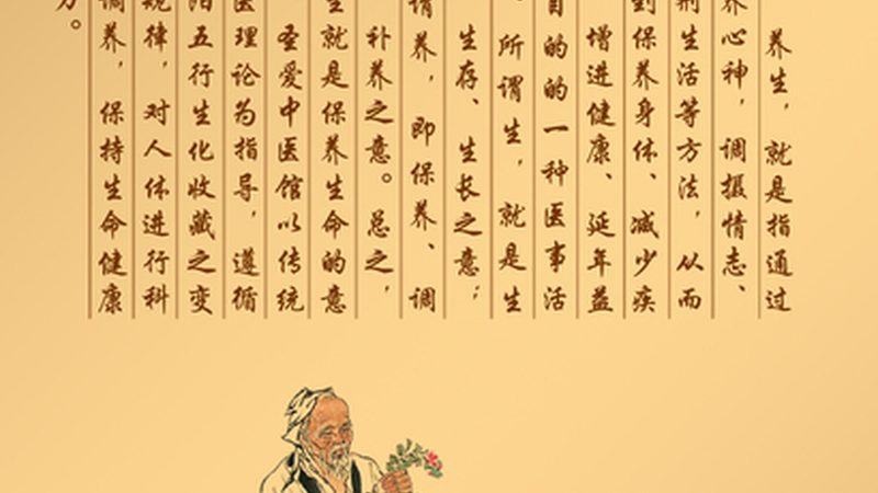 中医养生会所服务流程，揭秘传统与现代的交融之道